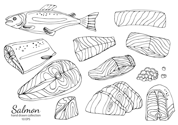 Целая красная икра лосося, сырые стейки и филе, реалистичные изолированные контуры векторной иллюстрации
