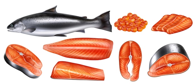 Vettore salmone intero caviale di pesce rosso bistecche crude e filetto realistico isolato illustrazione vettoriale farina di frutti di mare