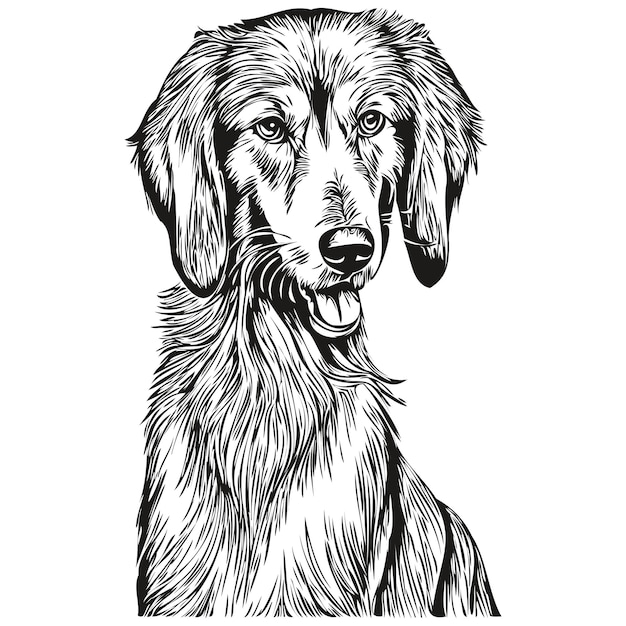 サルーキ犬手描きロゴ描画黒と白のライン アート ペット イラスト
