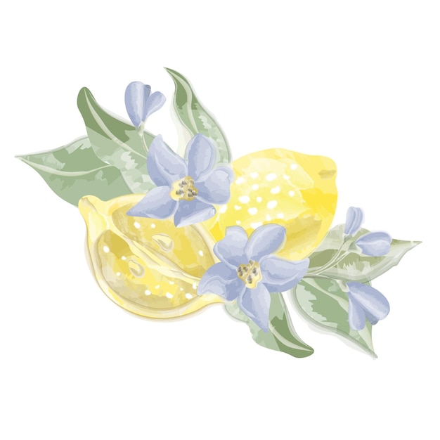 Samenstelling citroen gesneden met bloemen en bladeren