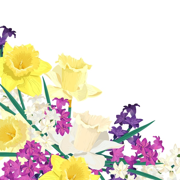 Samenstelling van heldere voorjaarsbloemen Vector gekleurde hyacinten en gele narcissen op een witte