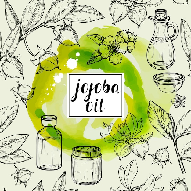 Vector samless watercolor pattern with jojoba oil cosmetic hand drawn nuts branch and fruit