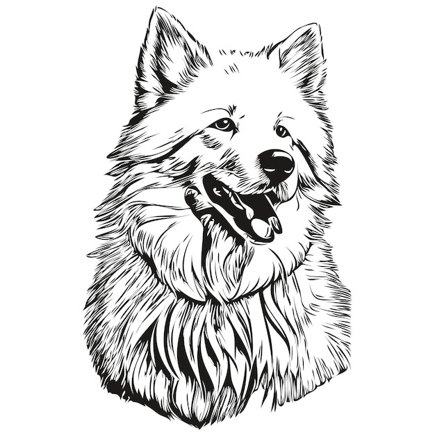 Samoyed dog hand drawn logo drawing black and white line art pets illustration sketch drawing