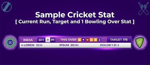 Vector sample cricket statistics run target bowling info