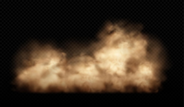 Vector sand cloud with dust on transparent background desert storm sandstorm dusty cloud or dry sand flying