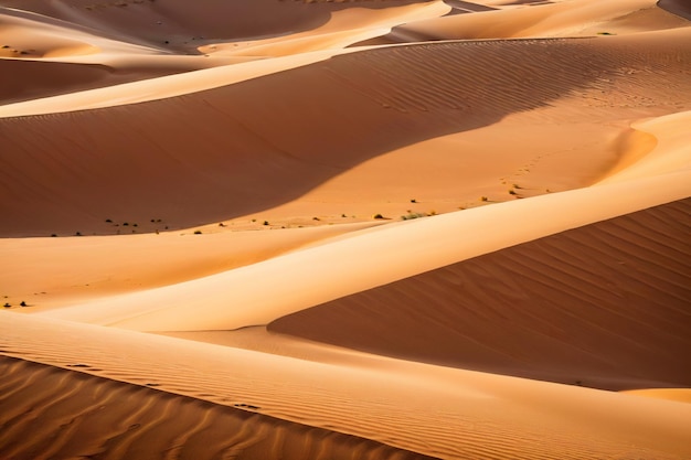 벡터 모래 언덕 사막
