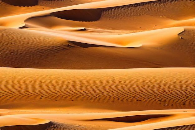 Vettore dune di sabbia nel deserto