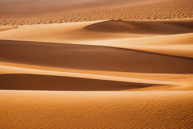 Vettore dune di sabbia nel deserto