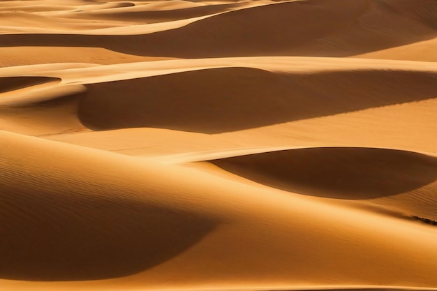 Vettore dune di sabbia nel deserto