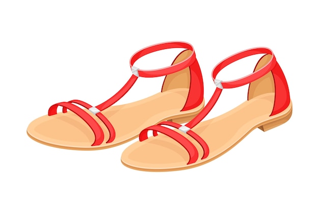 Sandals with flat sole and latchets vector illustration