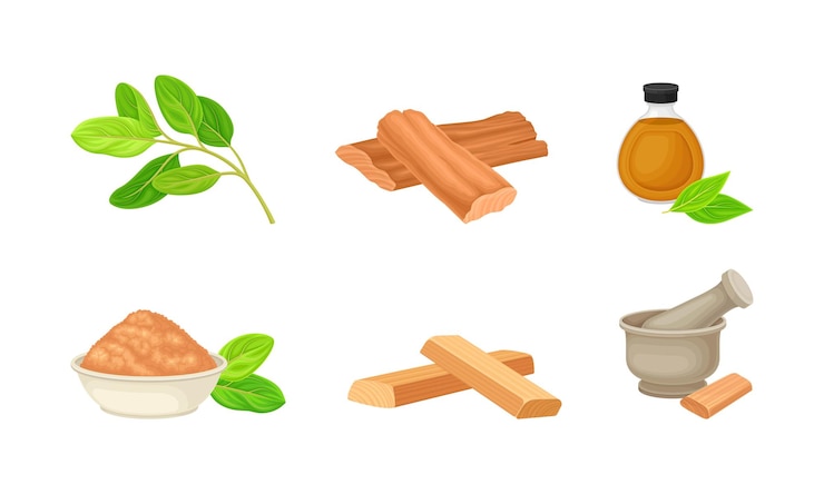 Vector sandalwood timber and wood material with fragrant powder in bowl vector set