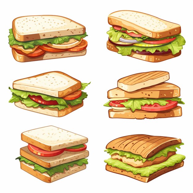 sandwich food vector bread snack illustration lunch meal cheese fast isolated ham restau