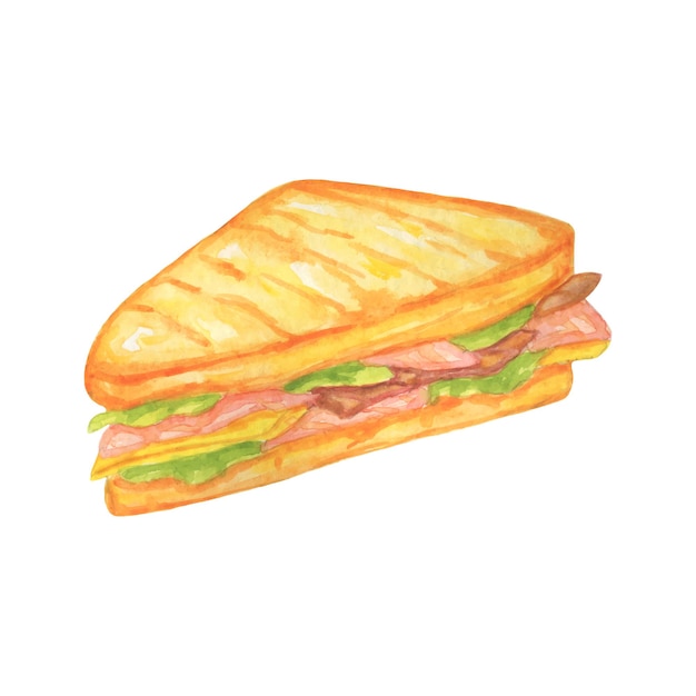 Sandwich watercolor illustration