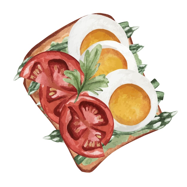 Sandwich with egg asparagus and tomato on a white plate Fast healthy breakfast