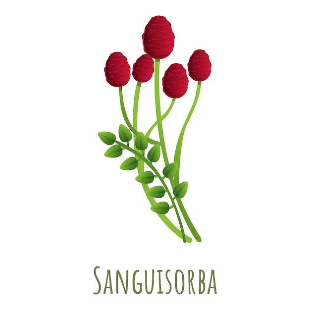 Vector sanguisorba plant icoon cartoon van sanguisorba planten vector icoon voor webontwerp geïsoleerd op witte achtergrond