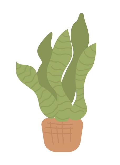 Sansevieria semi-egale kleur vectorobject