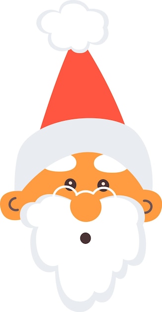 Santa Claus Face