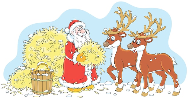 Santa Claus feeding his reindeer with tasty hay before his magic Christmas journey around the world