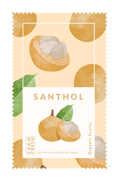 santol fruit packaging design templates watercolour style vector illustration