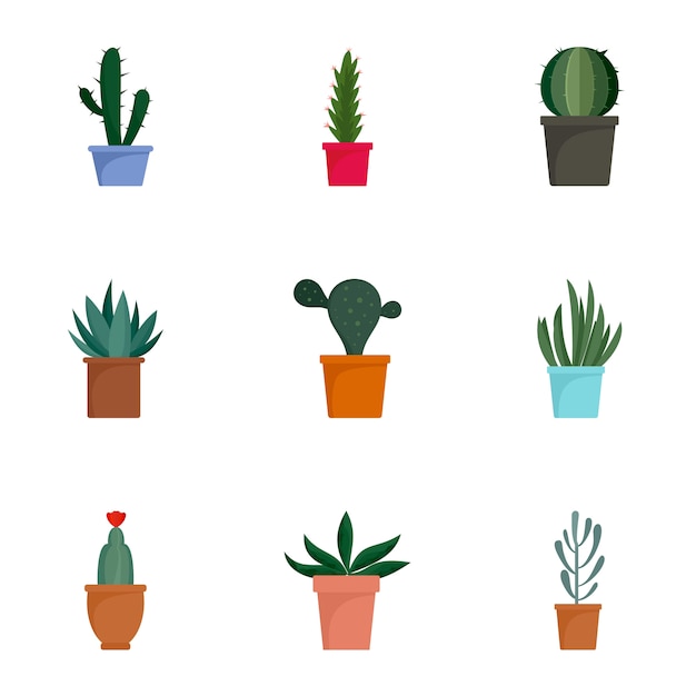 Sappige cactus plant icon set, vlakke stijl