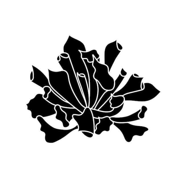 Sappige echeveria in eenvoudige stijl vectorillustratie Woestijnbloem voor print en design