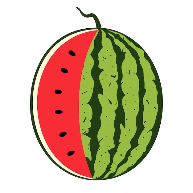 Vector sappige watermeloen. zomer fruit illustratie geïsoleerd op een witte achtergrond.