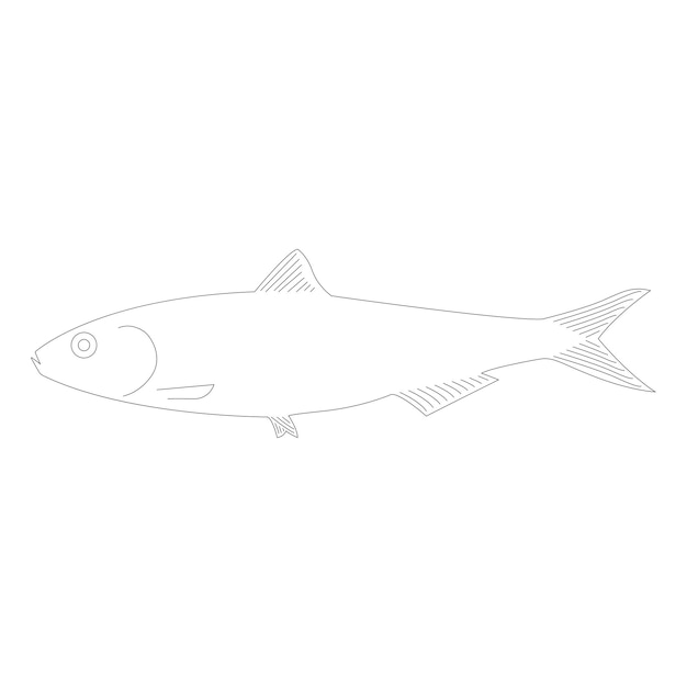 Sardine icoon vector