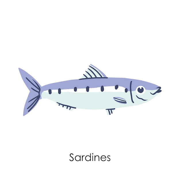 Vector sardines edible salt water fish element