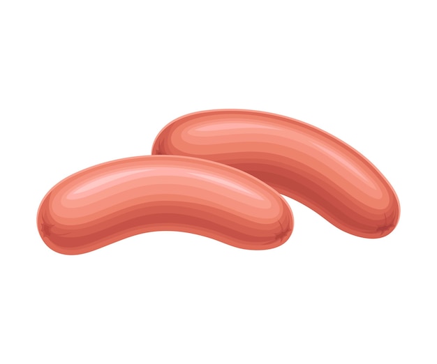 Vector sausage or frankfurter as meat product vector illustration