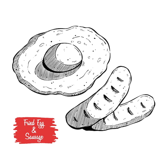 Vector sausage and fried egg as a breakfast traditional breakfast sketch illustration