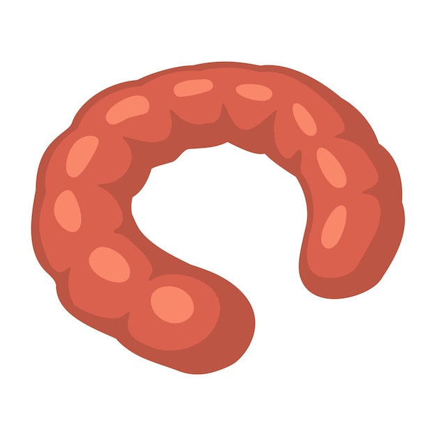 Vector sausage ring vector color vector illustration icon isolated on white