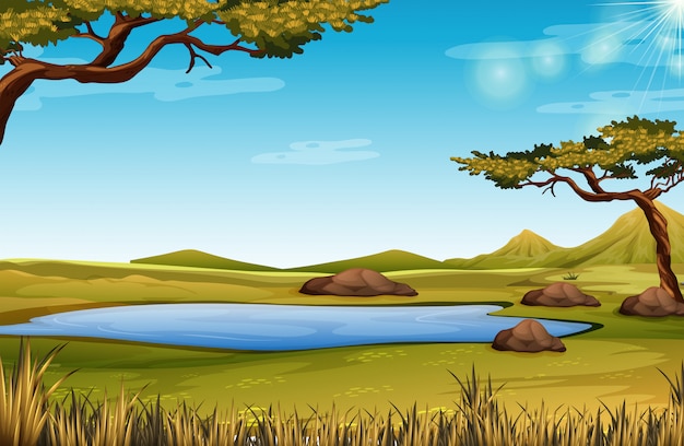 A savanna nature scene