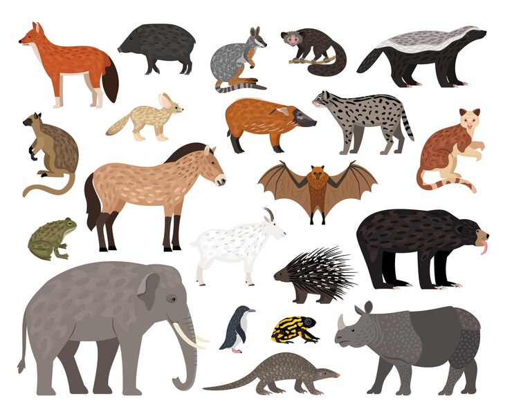 Vector サバンナのキャラクターコレクション。野生動物、アフリカの動物のセット、白い背景で隔離の動物園の住民のベクトルイラストの漫画画像