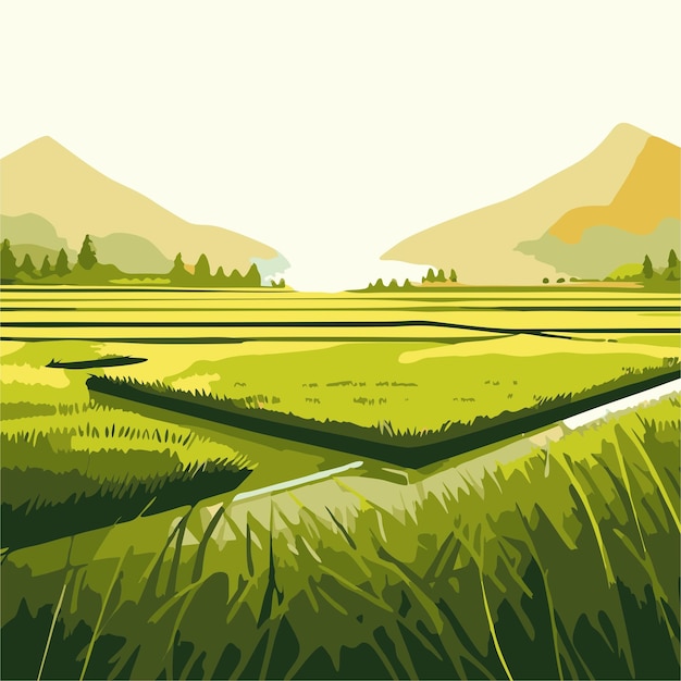 Vector sawah vektor 2