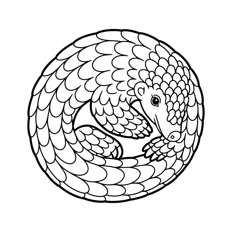 Vector scaly animal curled into a circular shape pangolin scales