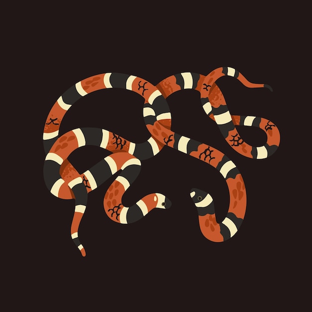 Scarlet kingsnake met gestreepte schaal Melkslang met versierde huid Giftige koraal adder Amerikaanse cobra Exotische slang koudbloedige dier Tropische fauna Platte geïsoleerde vector illustratie.