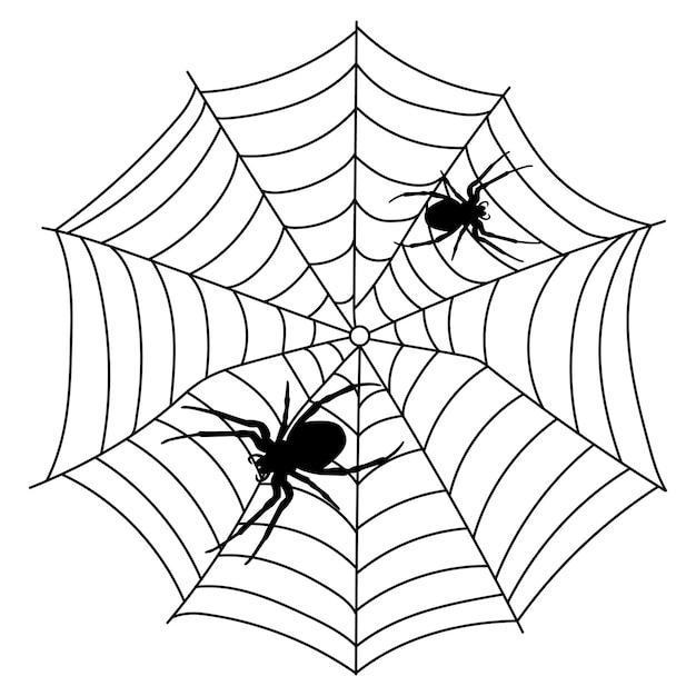 Scary black spider web isolated on white Spooky halloween decoration