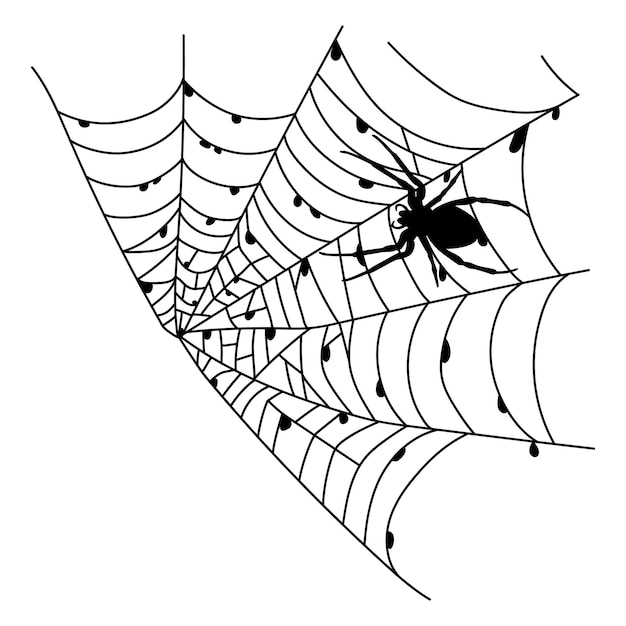 Scary black spider web isolated on white Spooky halloween decoration