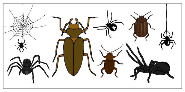 怖くてリアルな色の手描きのカブトムシとクモ。ハロウィンの飾り。