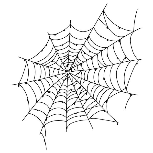 Scary spider web isolated Spooky Halloween decoration Outline cobweb illustration