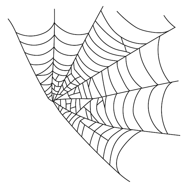 Scary spider web isolated Spooky Halloween decoration Outline cobweb illustration