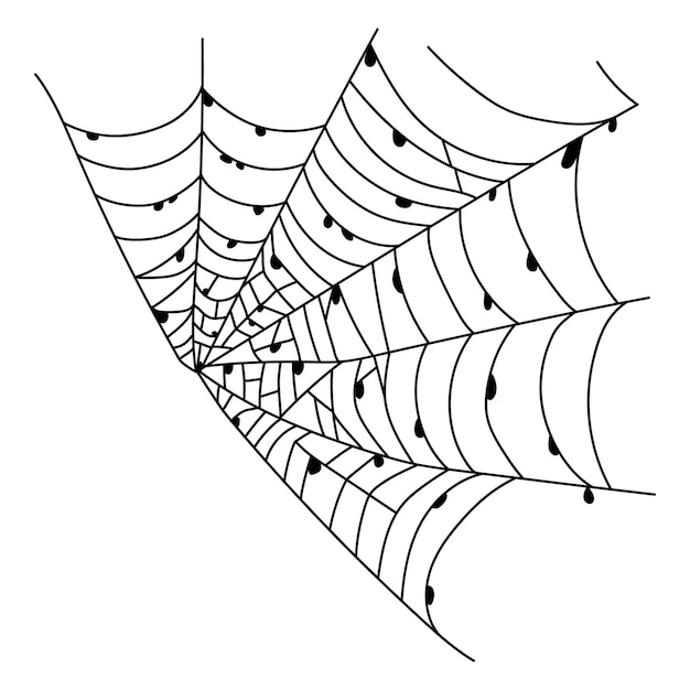 Scary spider web isolated Spooky Halloween decoration Outline cobweb illustration