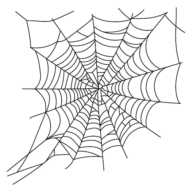 Scary spider web isolated Spooky Halloween decoration Outline cobweb illustration