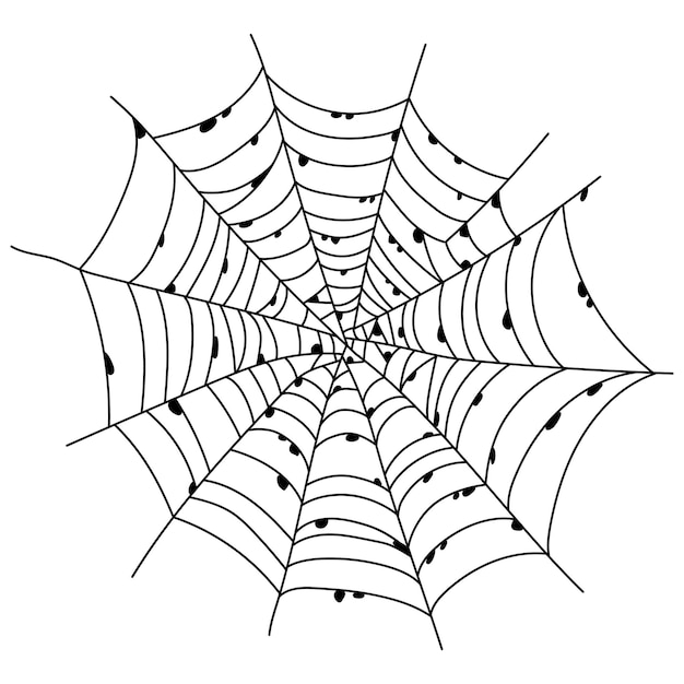 Scary spider web isolated Spooky Halloween decoration Outline cobweb illustration