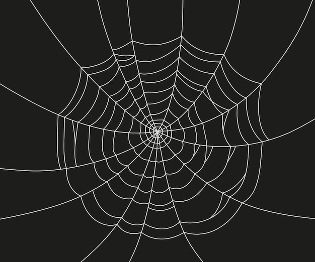 Vector scary spider web white cobweb silhouette isolated on black background doodle spideweb banner hand drawn cob web for halloween party vector illustration