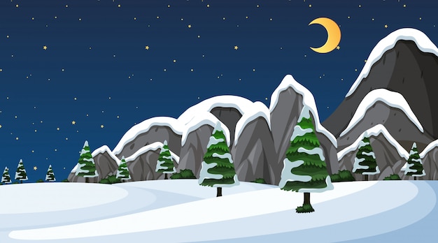 Vector scène met sneeuw op het gebied bij nacht