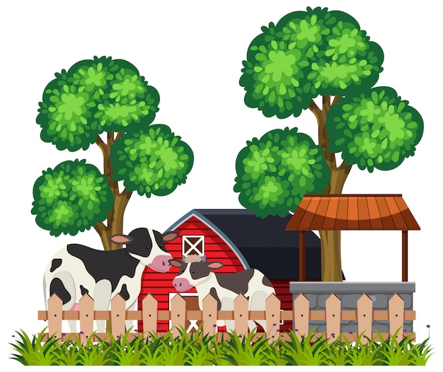 Scène van een boerderij met koeien