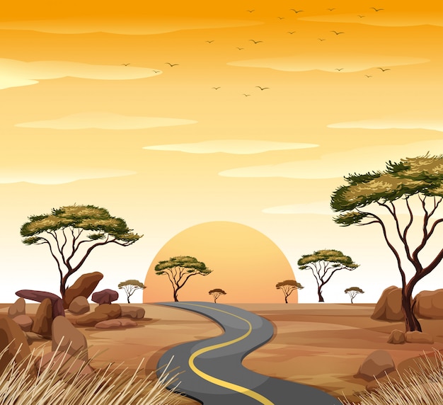 Vector scene with empty road at sunset