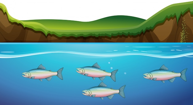 Vector scene with fish under the river