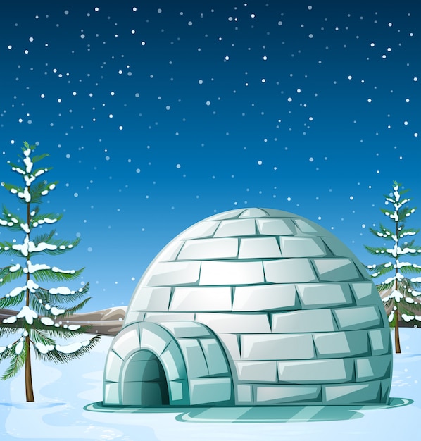 Scene with igloo on snowing day